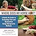 Where Does My Horse Hurt?: A Hands-On Guide to Evaluating Pain and Dysfunction Using Chiropractic Methods