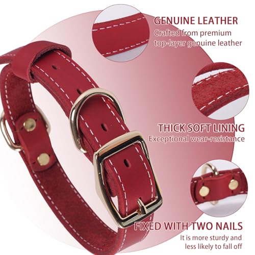 Robustes Hundehalsband aus Echtem Leder –vVerstellbares Design,Weich und Strapazierfähig mit Metallschnalle und D-Ring für Kleine, Mittlere und Große Rassen (Rot, L)