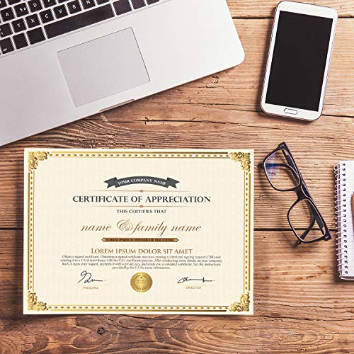 Chinco Certificate Paper Gold Foil Metallic Border Blank Award Certificate For Recognition Appreciation, Laser And Inkjet Printer Compatible, 11 X 8.5 Inches (50 Pieces) #TOP2