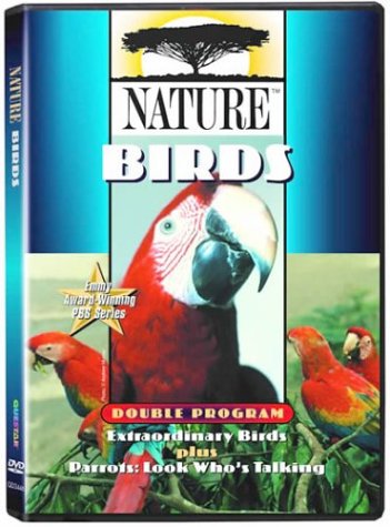 Nature - Birds Nature - Birds