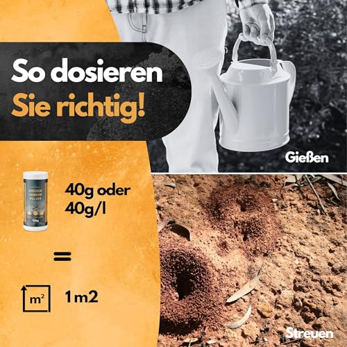 Ameisen Abwehr Pulver – 500g – Sofortwirkung gegen Ameisen, Asseln, Käfer – Für Innen- & Außenbereiche – Streuen oder Gießen – Ameisenstreu – Ameisenpulver – PT19 Repellent (1x500g)