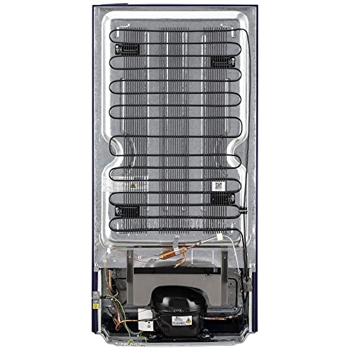 Image of LG 190L 2 Star Direct-Cool Single Door Refrigerator (GL-B199OBPC, Blue Plumeria, Fast Ice Making)