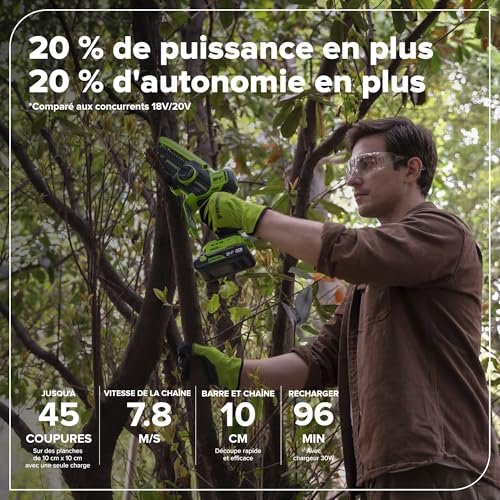 Greenworks POWERALL 24V Mini Tronçonneuse 10cm Gen. II avec perche d'extension Batterie 2Ah - vue 4