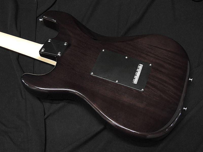 Amazon | SCHECTER OL-ST-22-MH STBK R シェクター ストラトタイプ