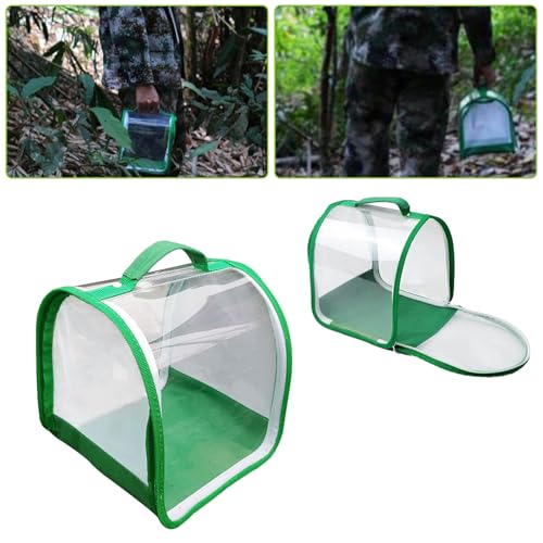 Habitat de borboletas, gabinete de lagarta - Gaiola de malha para habitat de borboleta pequena dobrá