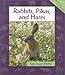 Rabbits, Pikas, and Hares (Animals in Order)