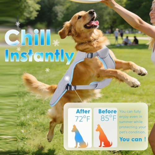 Chaleco de refrigeración para perros contra golpes de calor con bolsa de hielo 3
