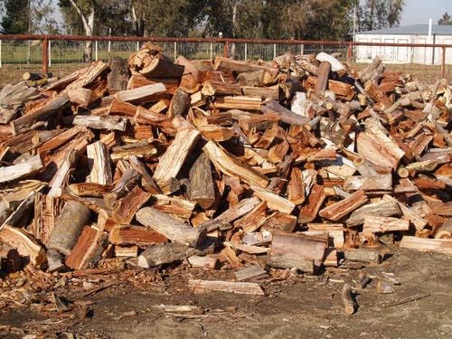 Natural Multi Purpose Fire Wood Logs (for Cooking, Fire Pit, Pizza ovens, Fire Place, Lohri) (900 Gram) (Babool Wood)