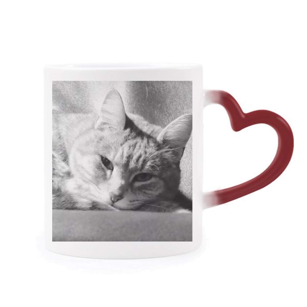 Taza termo-sensible de gato gris que evita quemaduras y decora tu cocina con cerámica