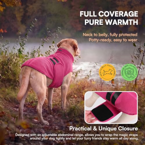 Image of Queenmore Large Dog Sweater,Fleece French Bulldog Sweater with Leash Hole