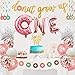 Lnlofen 37Pcs Donut First Birthday Party Decoration Supplies Kit,, 1st Birthday Decorations, Donut One Foil Balloon, Donut Banner, Donut Grow up Banner, Cake Topper, Star Swirl Foil, Latex Balloon