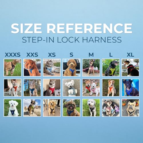 Image of Best Pet Supplies Voyager Step-in Lock Pet Harness w Reflective Pet Leash Combo Set with Neoprene Handle 5ft - Supports Small, Medium and Large Breed Puppies /Cats - Pink, M