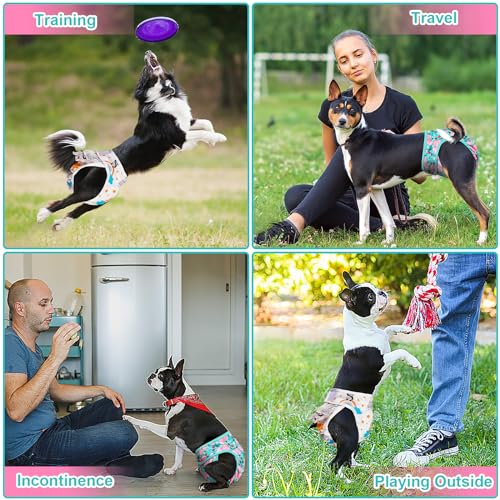 Image of XPCARE Reusable Dog Diapers - 2 Packs Absorbent, Leak-Proof for Female Dogs (Small)