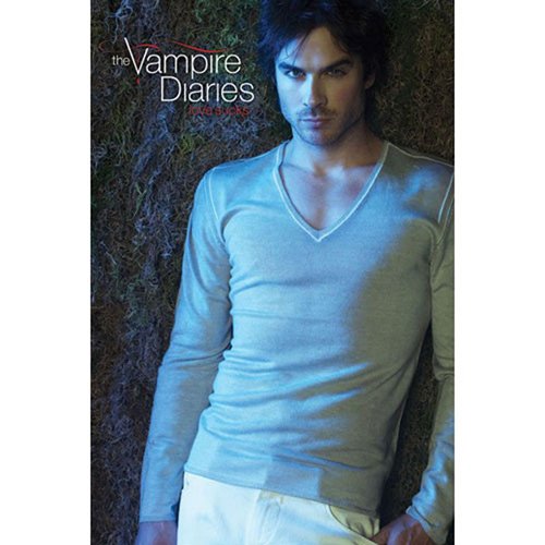Poster Vampire Diaries Design Damon Vampire Diaries Amazon.de