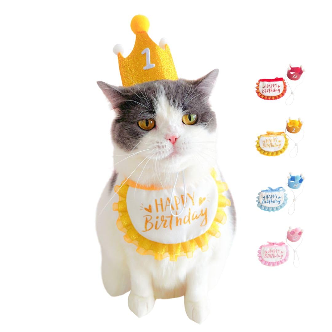 Amazon | 犬 誕生日 帽子 スタイ 被り物 誕生日グッズ 3点セット数字