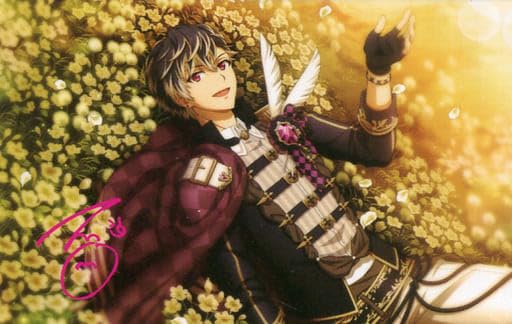 Amazon.co.jp: アイドリッシュセブン ビッグサイズビジュアルタオル