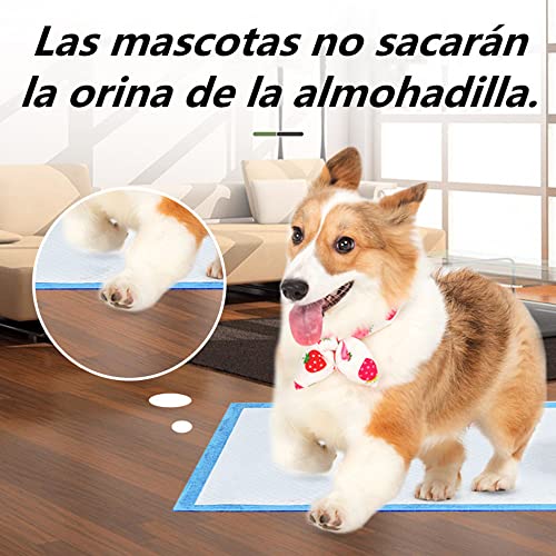 La mejor comparación de Tapete entrenador para perro soriana Top diez. 30 Imagen adicional