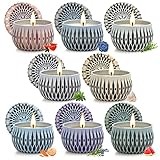 Mejor Selección del Set Regalo Juego de velas, viene bien embalado y envuelto en regalo, perfecto regalo para Navidad, cumpleaños, aniversario o fiesta de la madre. La vela regalo aroma fuerte y atractivo y el aspecto real serán la razón de la sonrisa en la cara de tu madre, padre, amante, esposa, hermano, amigos, etc.