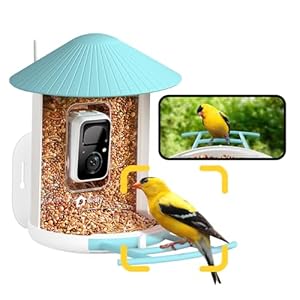NETVUE by Birdfy AI Smart Bird Feeder with Camera, AI Auto Capture Each Bird Come & Identify 6000+ Bird Species, Cloud Store Bird Videos & Birdwatching On Live, Ideal Gift for Bird Lover (Blue)