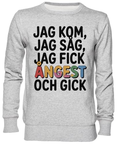 Sweat-shirt gris humoristique à offrir en cadeau original