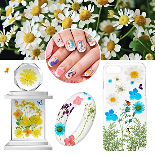 124Pcs Dried Flowers For Resin, Natural Dried Pressed Flowers Leaves Kit With Butterfly Stickers And Tweezers For Jewelry Nail Art Craft Scrapbooking Diy Candle Soap Making Flora Decor Supplies #TOP4