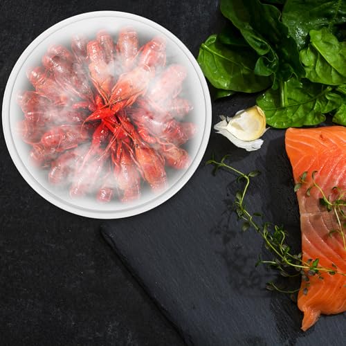 Plato melamina blanco 8.5 pulg para sushi miniatura 5