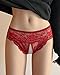 Justgoo Womens Sexy Thongs Lace Panties Underwear Low Rise Plus Size Underpants Pack of 5