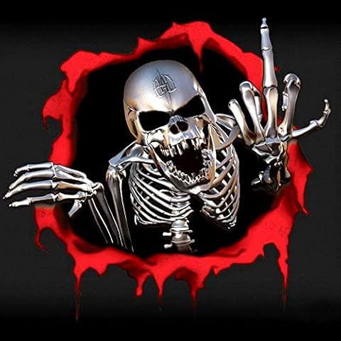 Dsycar 2pcs Reaper with Middle Finger Sticker Funny CAR (skull sticker A) Cover