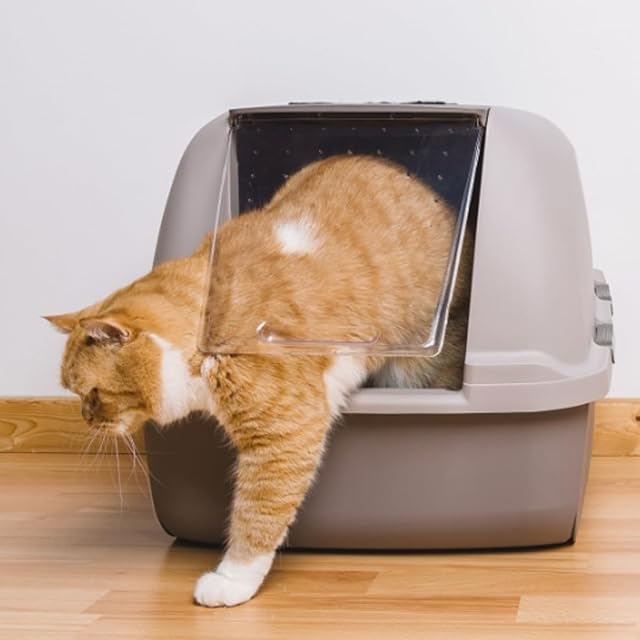 Foto 5 de 7 de GNCPets Pala de Limpieza para areneros de Gatos - Limpieza del arenero - Agarre cómodo - 28 x 12 x 5 cm