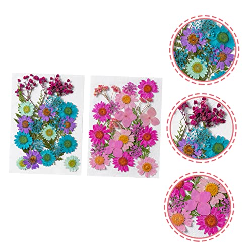 Flores Secas Artesanales 50pcs para Manualidades DIY miniatura 7