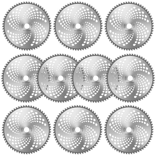 DADAGUAIi__OACj @̐n @ `bv\[ ւn 蕥@ y v  `bv\[ 255x40P 10g i  (255MM*60n, 10g)