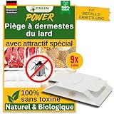 GREEN GUARDIA Speckkäfer Falle mit Spezial-Lockstoff - 9X Speckkäfer...