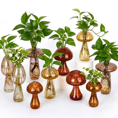 Ferrochef 10 Pcs Mushroom Glass Propagation Vases 5 Colored Plant Propagation Stations Mini Cute Terrarium for Plant Small Hydroponic Pots for Flowers Home Garden Office Decor Cute Vase Gifts
