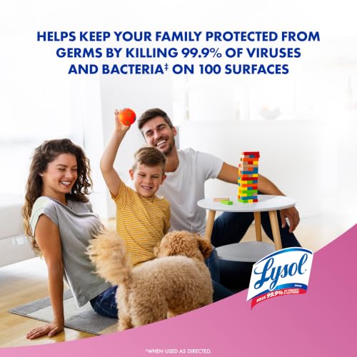 Image of Lysol Disinfectant Spray, Household Cleaning Supplies, Disinfecting Multi-Purpose Room Spray, Antibacterial Sanitizer, Deodorizer, Kills Hantavirus, Early Morning Breeze, 19 Fl Oz (Pack of 2)