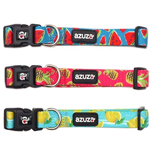 azuza 3 Pack Dog Collar, Comfy Nylon Puppy/Pet Collars Pack for Extra Small Dogs, Watermelon/Pineapple/Lemon