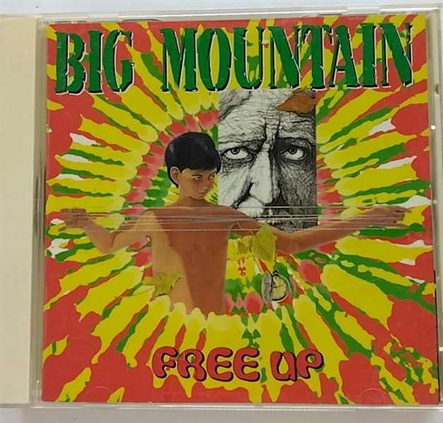 BIG MOUNTAIN - Free Up - Disque CD