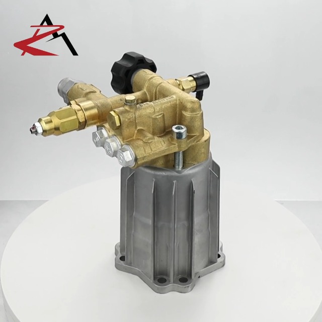 Amazon.com: Annovi Reverberi 3000 psi AR Pressure Washer Water