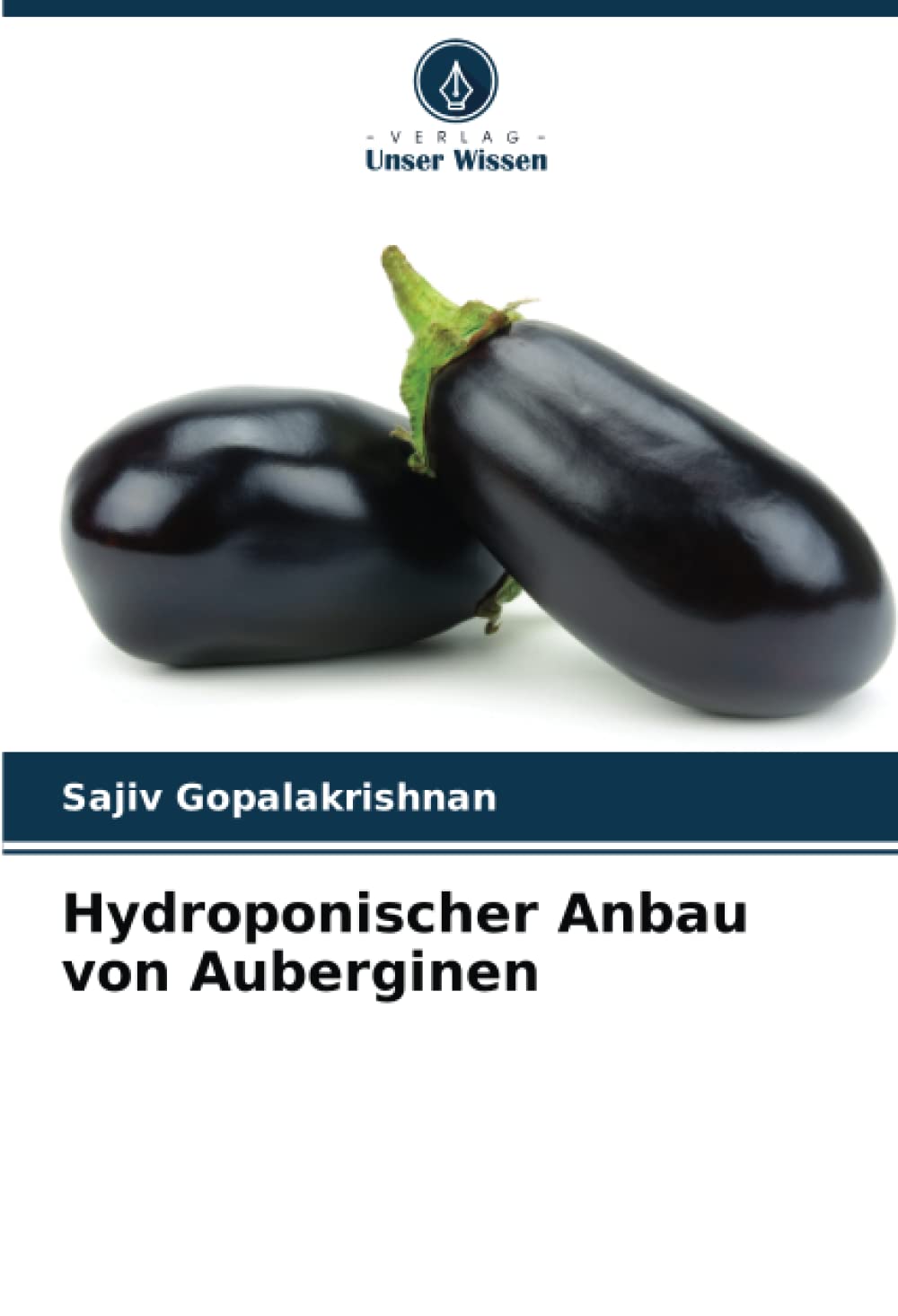 Hydroponischer Anbau von Auberginen