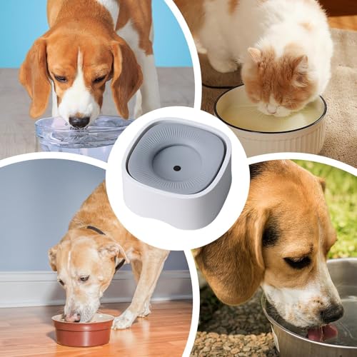 Gamelles pour chien fini les sols mouillés distributeur d'eau pour chiot propre maison - 6