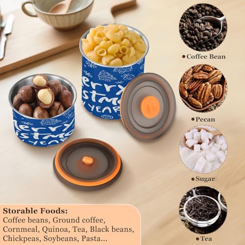 Envase para café acero inoxidable 500ml con tapa azul miniatura 5