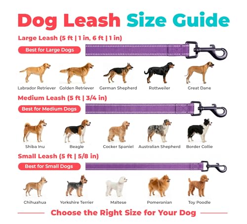 Image of Best Pet Supplies Voyager Reflective Dog Leash or Collar with Neoprene Handle, for Small, Medium, and Large Breed Puppies, Cute and Heavy Duty for Walking, Running and Training - Purple (Leash), S