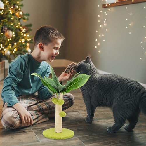 Rascador para gatos NUOBESTY con cuerda de sisal y bola de resorte miniatura 3