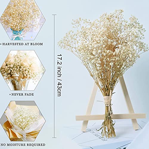 17 Inch Dried Flowers Baby's Breath Bouquet - 2000+ Ivory White Dry Flowers,Natural Gypsophila Branches For Home Decor, Wedding, Table Decor, Diy Wreath Floral, Dry Flowers Bulk For Vase #TOP3