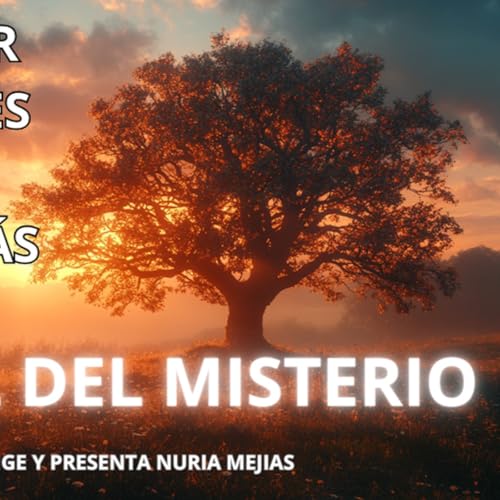 Page de couverture de 435- 2x11- RECONOCER LOS ERRORES- SEÑAL DESDE EL MÁS ALLÁ