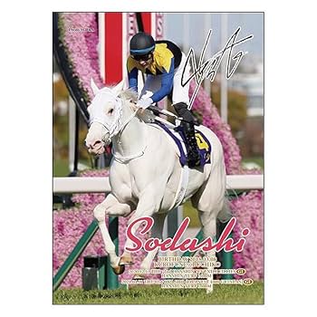 【希少美品】ジグソーパズル ヒストリーオブホース ナリタブライアン 500ピース 51Q555sf64L._UF350,350_QL80_.jpg