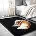 AAFKK Black Area Rug for Bedroom, 2x3 Small Rugs for Living Room Nursery Kids Room Dorm Home Decor Aesthetic, Fluffy Shaggy Rug with 4 Anti-Slip Carpet Tapes