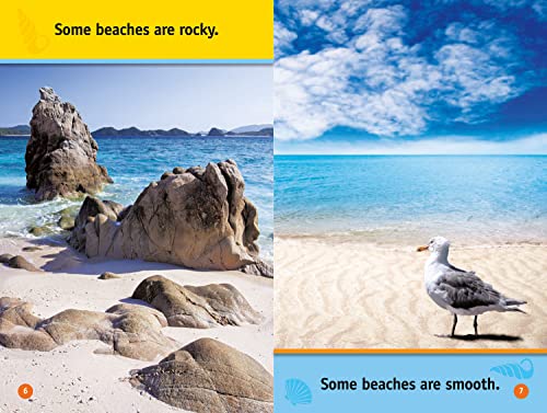At the Beach: Level 1 (National Geographic Readers) - Image 5