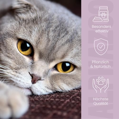 alphazoo Milbhunter Spot-On für Katzen 100 ml - mit Eukalyptusöl & Geraniol. Wirkt zuverlässig gegen Milben & pflegt die Haut. Natürlicher, alkoholfreier Milbenschutz für Katzen