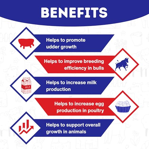 Image of REFIT Vitamin H for Cow, Cattle, Buffalo, Sheep, Goat, Poultry, Dairy Farm and Livestock Animals, 1000 ml X 2, Pack of 2, VIYTUM H