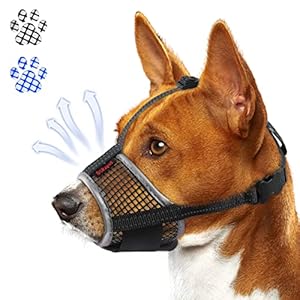 Dog Muzzle, Air Mesh Breathable Muzzle for Medium Large Sized Dogs to Anti & Prevent Biting Barking, Soft Grooming Muzzle for German Shepherd Dog with Reflective & Adjustable Strap(Black-XXL